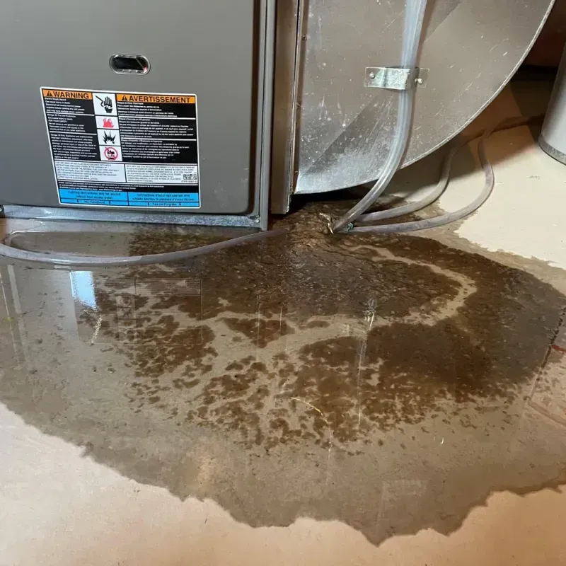 Appliance Leak Cleanup in Breckinridge Center, KY